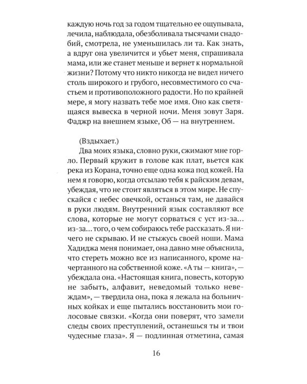 Дополнительное изображение книги «Гурии»