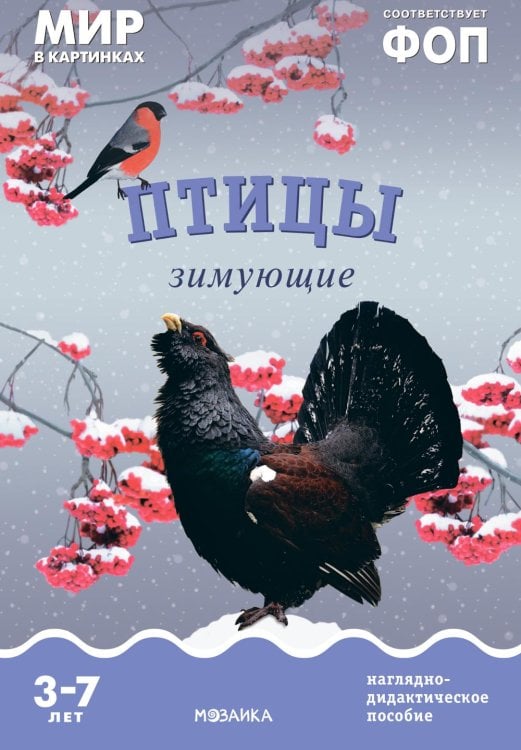 Мир в картинках Птицы зимующие: Наглядно-дидактическое пособие