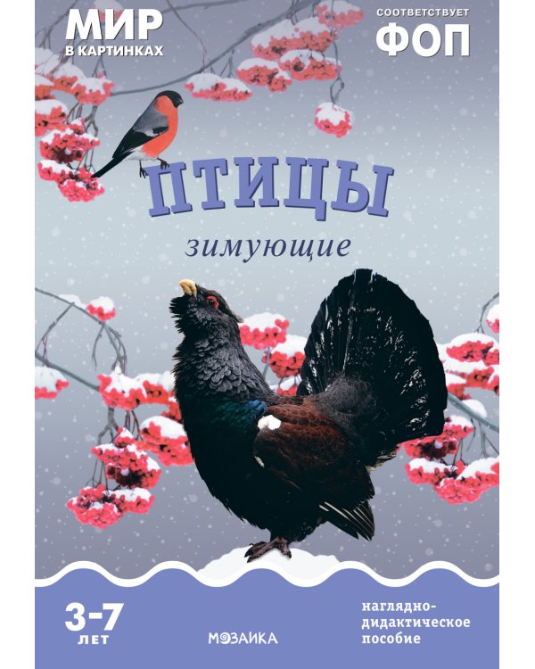 Птицы зимующие: Наглядно-дидактическое пособие