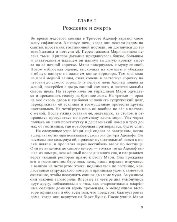 Венский гений Эгон Шиле: роман