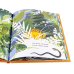 Комплект - Первое чтение (Книжный старт) Уровень 1, 2, 3 (комплект в 3 кн.)