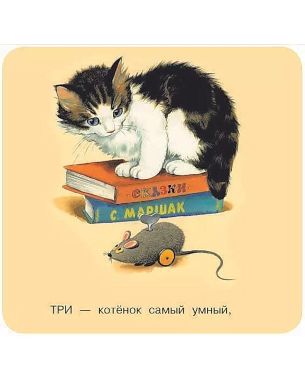 Котята. Считалочка