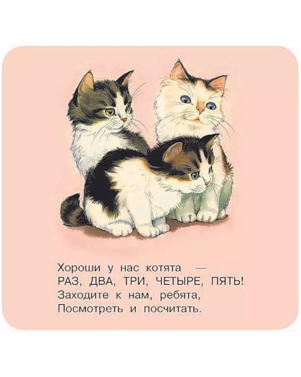 Котята. Считалочка