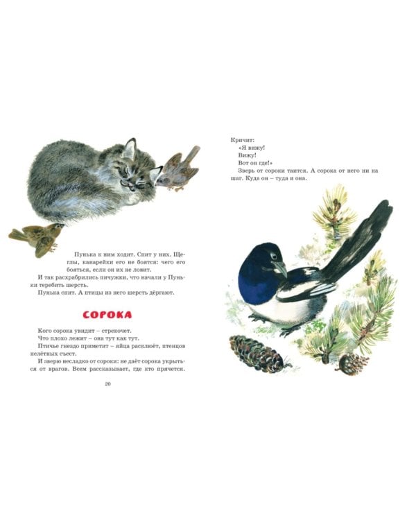 Друзья: рассказы