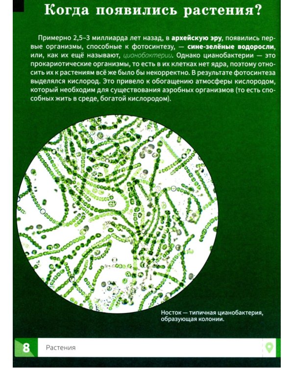 Растения: энциклопедия