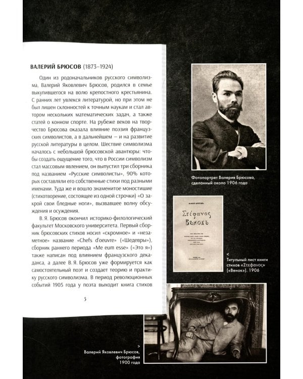 Серебряный век русской поэзии. Стихотворения и судьбы. Подробный иллюстрированный комментарий к избранным произведениям