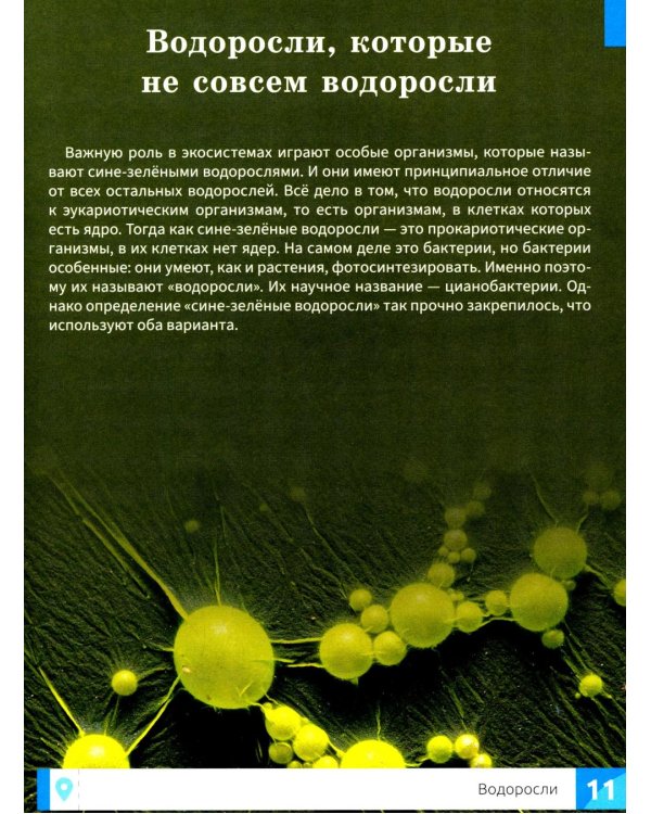 Растения: энциклопедия