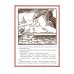 Сказки и мифы народов мира Все русские сказки в иллюстрациях Ивана Билибина