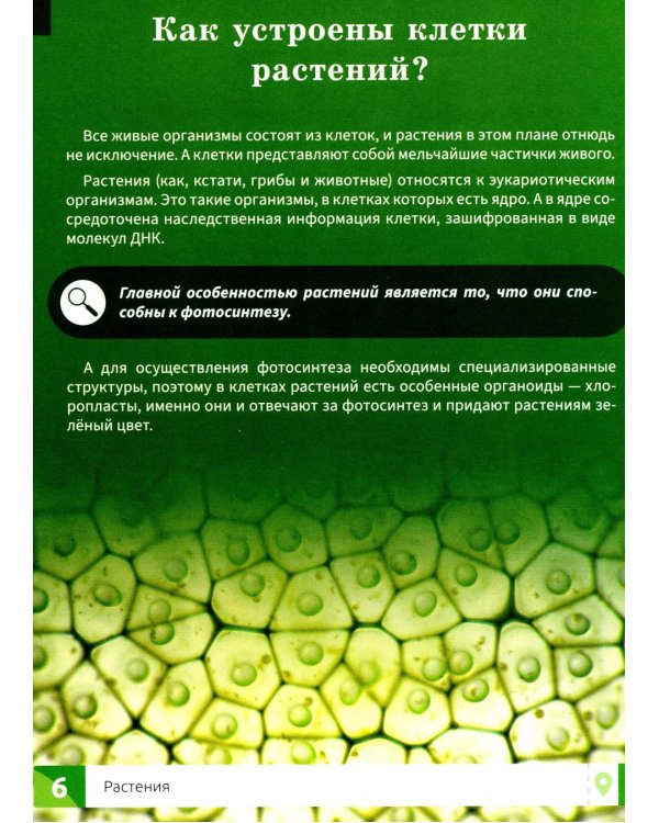 Растения: энциклопедия