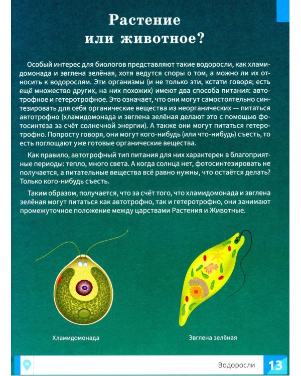 Растения: энциклопедия