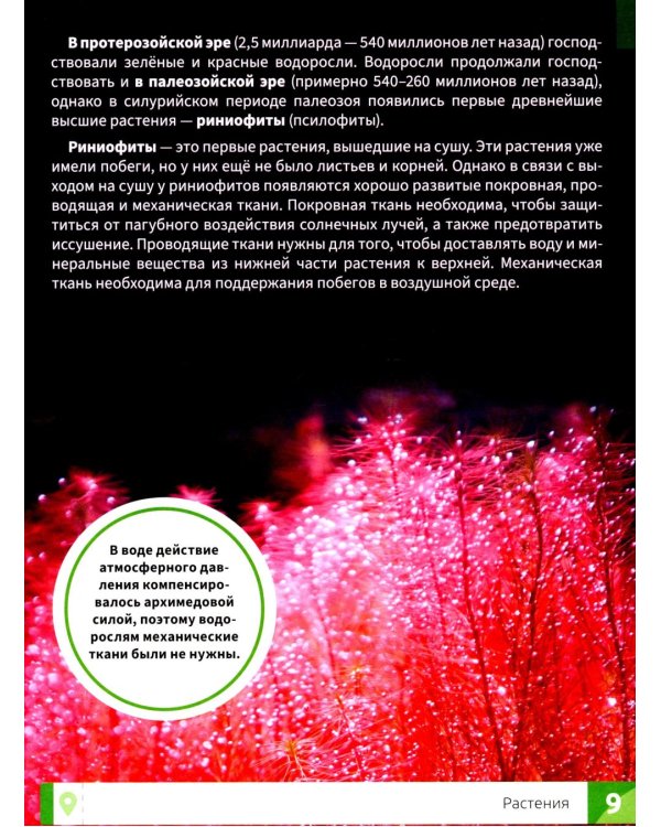 Растения: энциклопедия