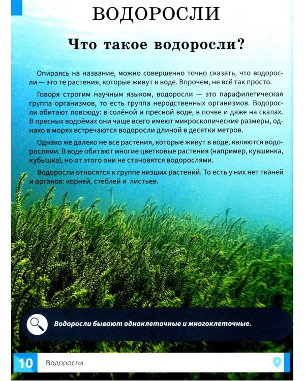 Растения: энциклопедия