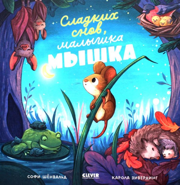 Книжки-картинки Сладких снов, малышка мышка!