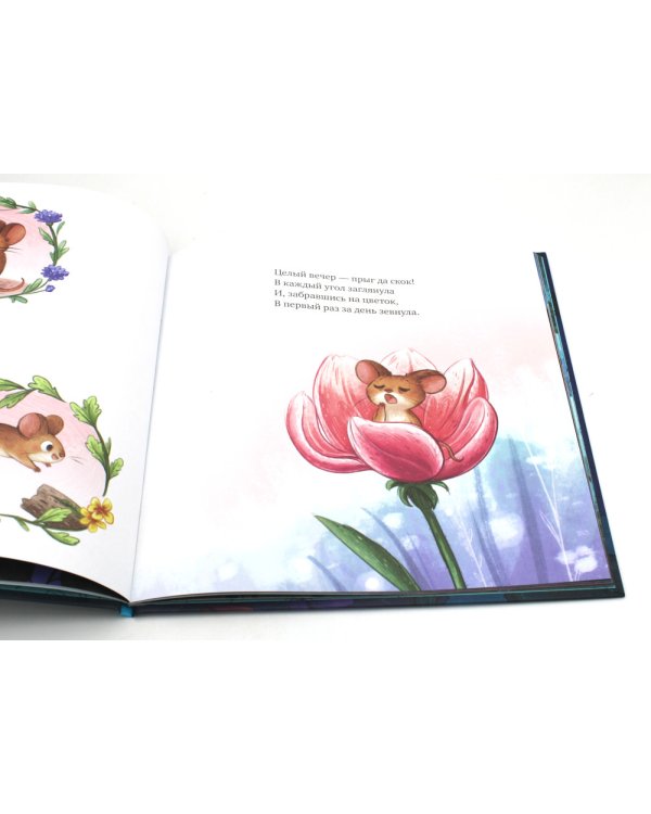 Дополнительное изображение книги «Сладких снов, малышка мышка!»