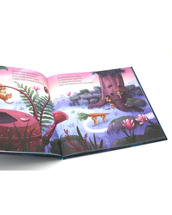Дополнительное изображение книги «Сладких снов, малышка мышка!»