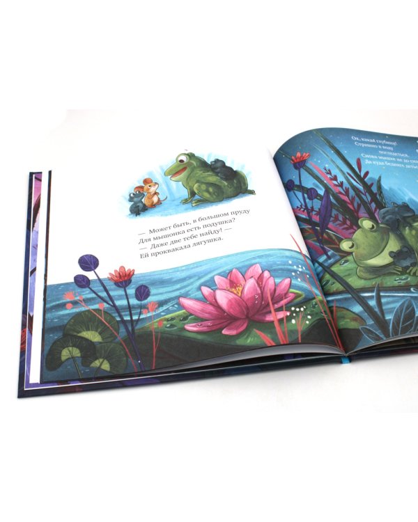 Дополнительное изображение книги «Сладких снов, малышка мышка!»