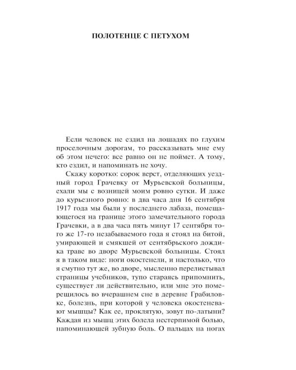 Дополнительное изображение книги «Морфий»