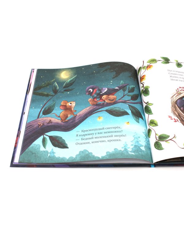 Дополнительное изображение книги «Сладких снов, малышка мышка!»