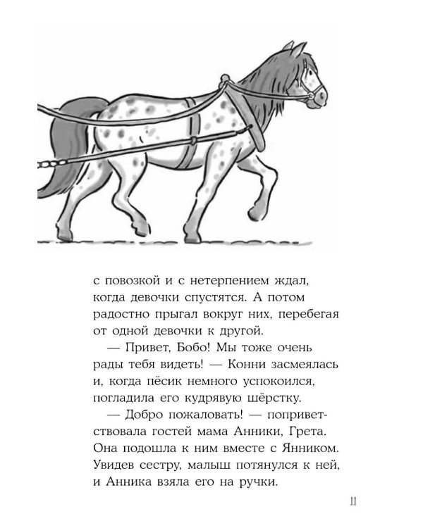 Дополнительное изображение книги «Конни и секретная миссия»