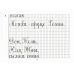 Репринтные прописи с калькой. Кн. 2 (к пособиям Е.И. Евсеева "Прописи для упражнения в прямом почерке", 1912 г. и Д.А. Писаревского "Почерк",1926 г.)