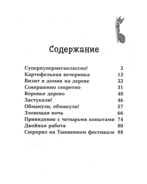 Дополнительное изображение книги «Конни и секретная миссия»
