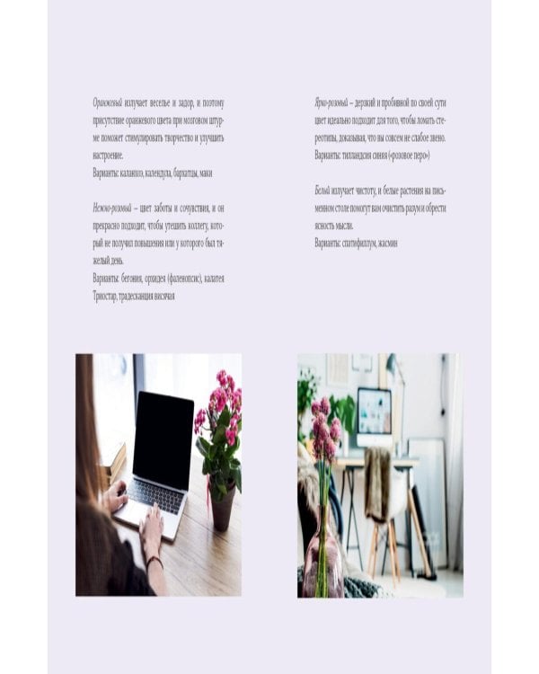 Маленькая книга цвета: Как использовать потенциал цветовой гаммы