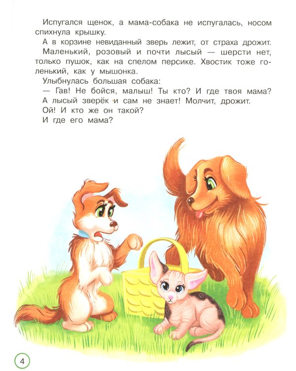 Как котенок маму искал