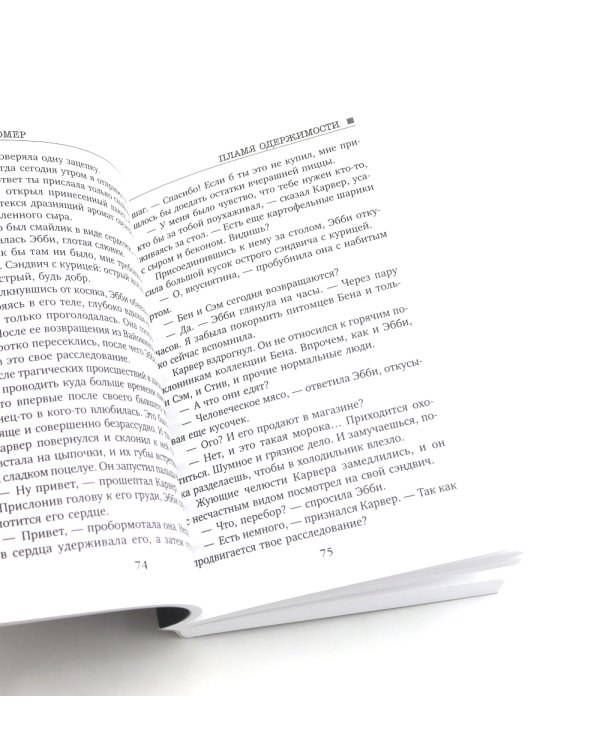 Пламя одержимости; Сеть смерти (комплект из 2-х книг)