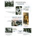 Краткая история России. Великая Отечественная война. Иллюстрированный учебник нового поколения: Учебное пособие