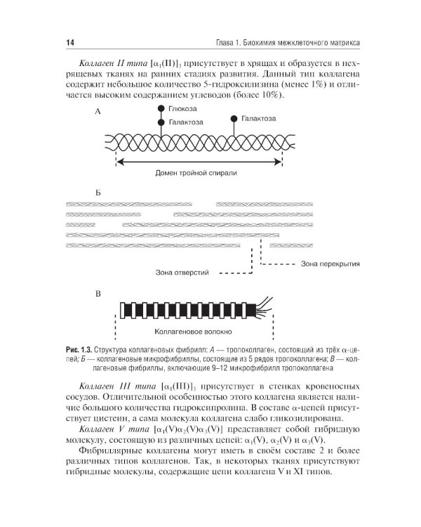 Биохимия тканей и жидкостей полости рта: Учебное пособие. 3-е изд., перераб. и доп