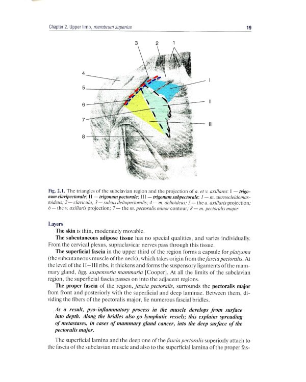 Topographic Anatomy and Operative Surgery: textbook: на англ.яз