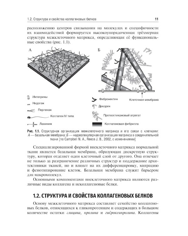 Биохимия тканей и жидкостей полости рта: Учебное пособие. 3-е изд., перераб. и доп