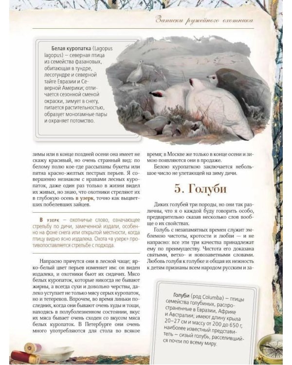 Записки ружейного охотника