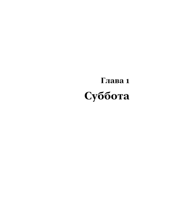 Отслойка: роман