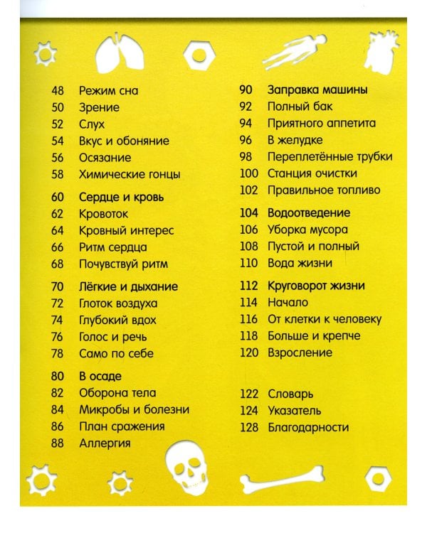 Как устроено тело человека. Красочный путеводитель по нашему организму