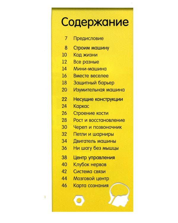 Как устроено тело человека. Красочный путеводитель по нашему организму