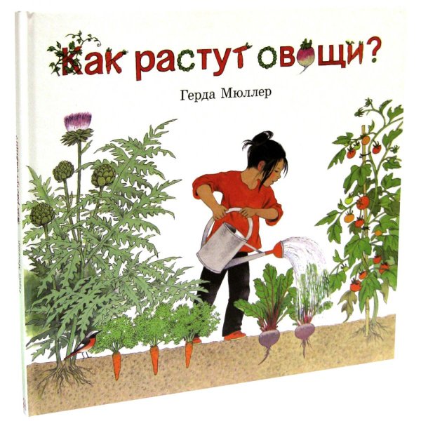 Как растут овощи?