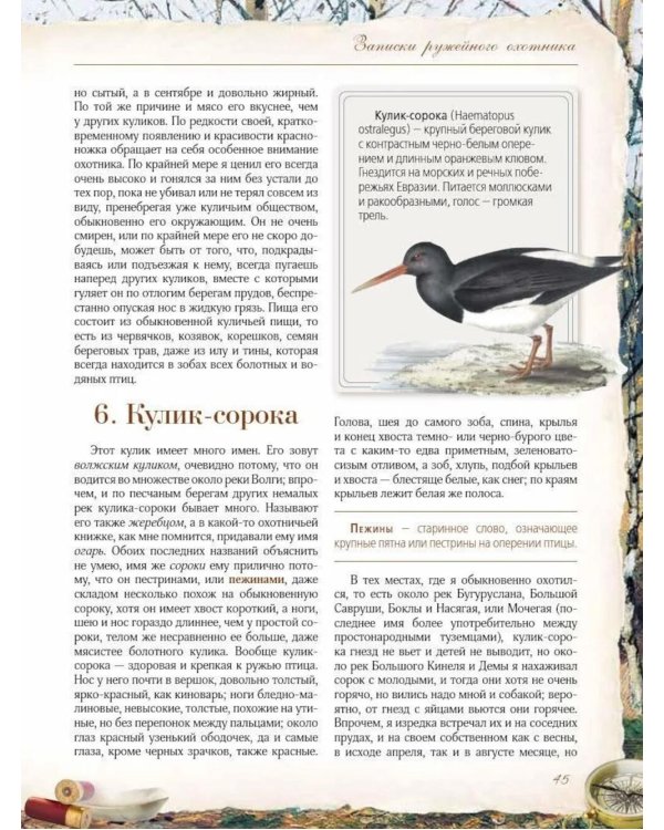 Записки ружейного охотника