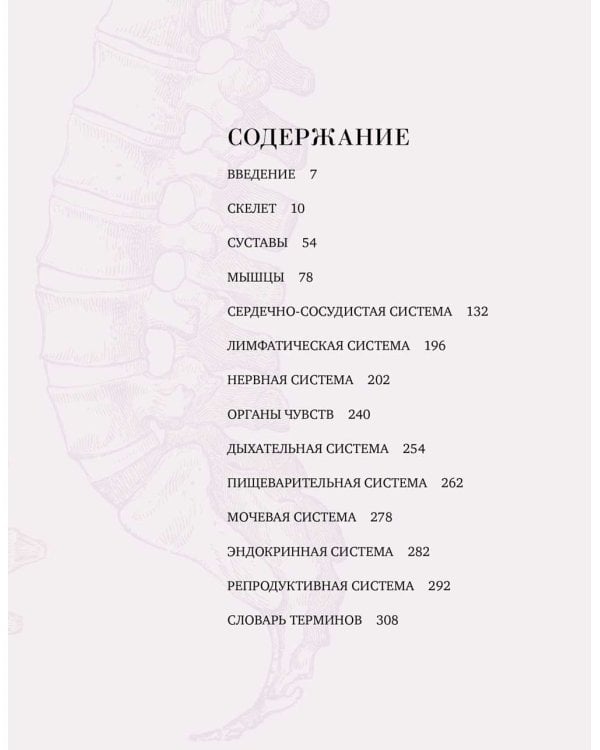 Анатомия. С иллюстрациями из классической "Анатомии Грея"