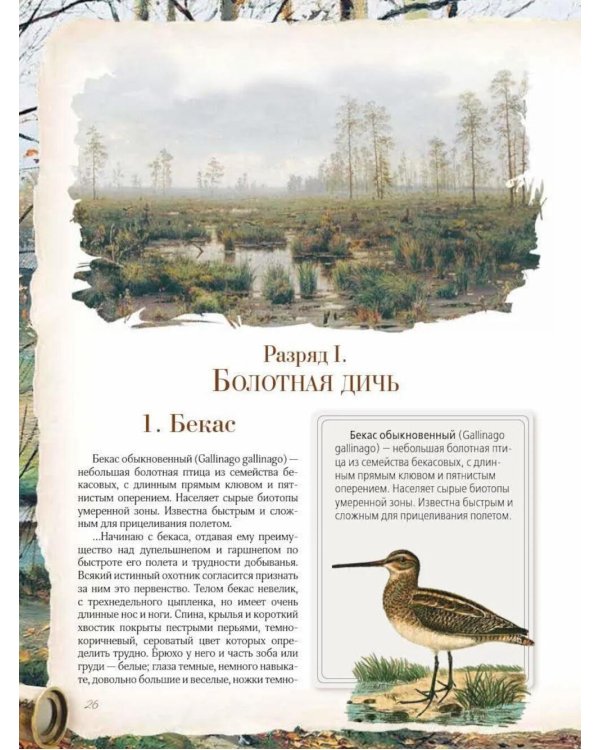 Записки ружейного охотника