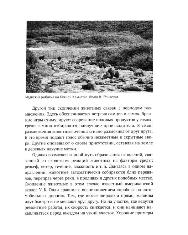 Законы стада. Зоосоциология млекопитающих. Социобиология людей и животных
