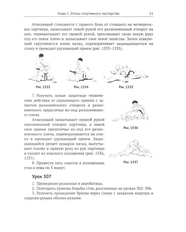 Спортивное джиу-джитсу. Кн. 2: Этапы освоения мастерства. (Многолетняя система достижения мастерства в спортивном восточном единоборстве)
