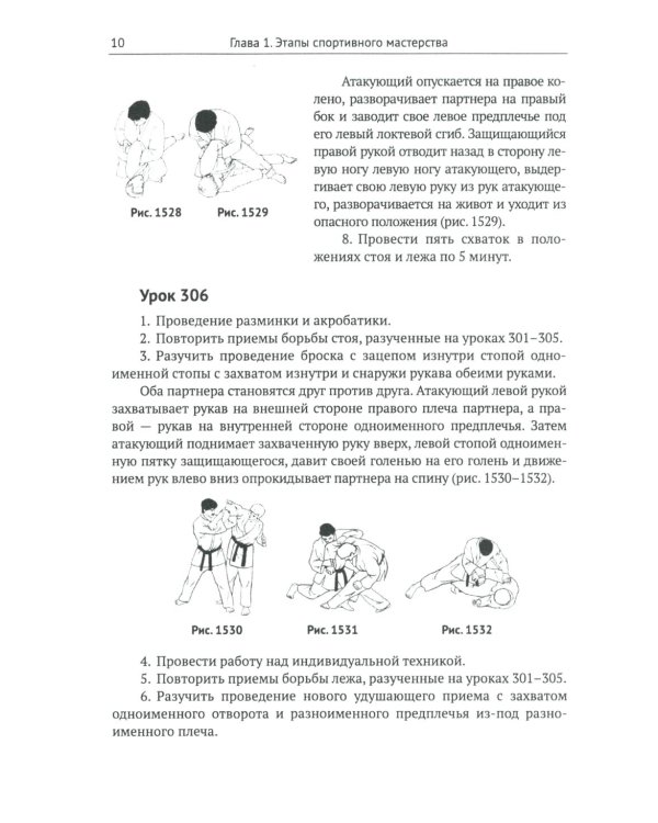 Спортивное джиу-джитсу. Кн. 2: Этапы освоения мастерства. (Многолетняя система достижения мастерства в спортивном восточном единоборстве)