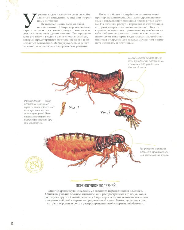 Зоология в картинках