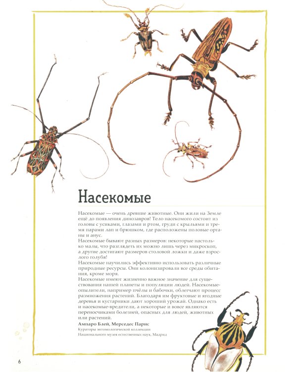 Зоология в картинках