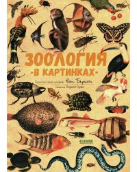 Зоология в картинках