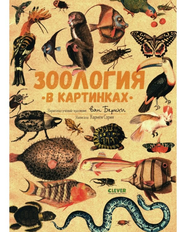Зоология в картинках