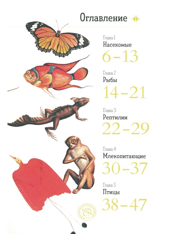 Зоология в картинках