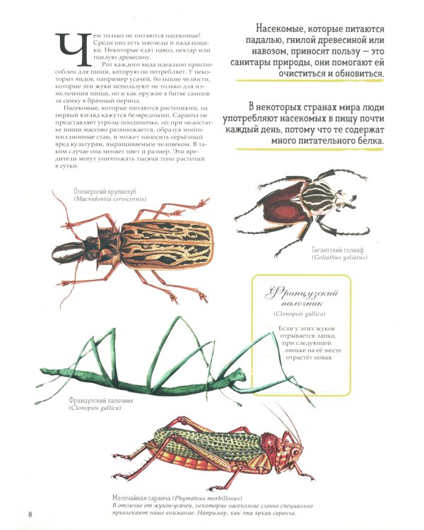 Зоология в картинках