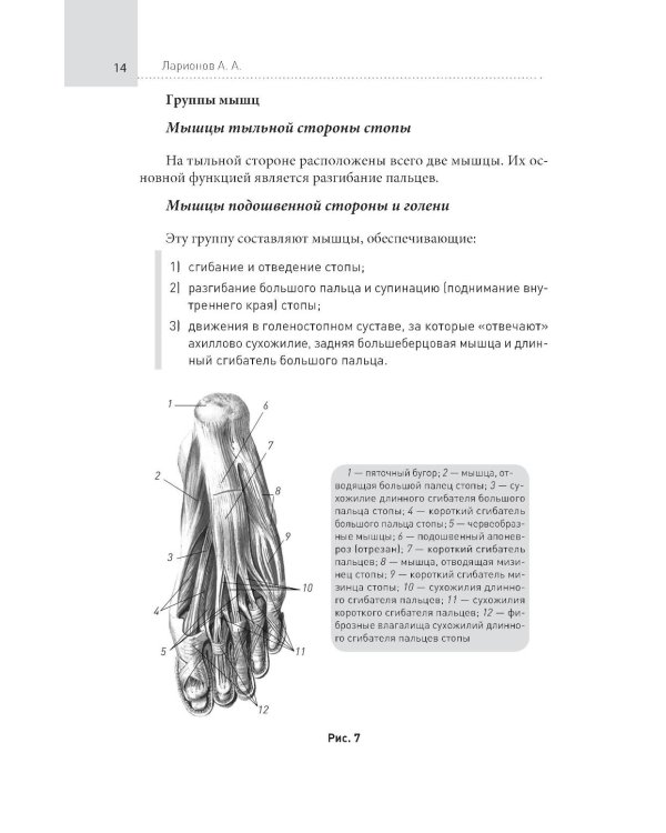 Стопы без боли. Все о плоскостопии, косточках и не только